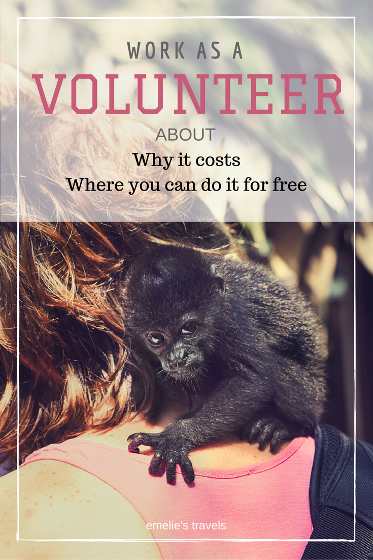 WORK AS A VOLUNTEER | why should you pay for it? | In this post I discuss why it costs and where you can volunteer for free.