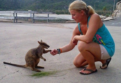 Magnetic Island