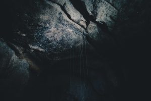 Waitomo Caves