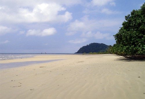 Cape Tribulation – Where the rainforest meets the reef