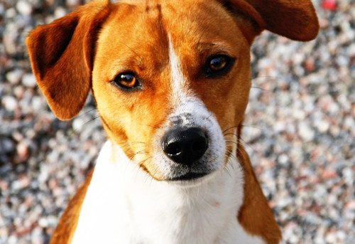 Hemma bra men borta bäst Hemma bra men borta bäst