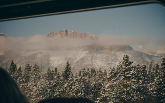 Visumen för Kanada är godkända – efter en del strul