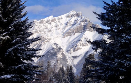 Första dagen i backen