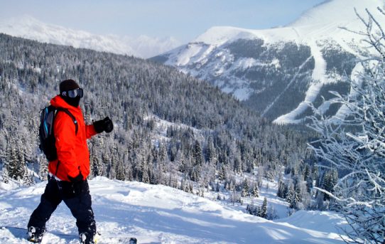 Another great tuesday