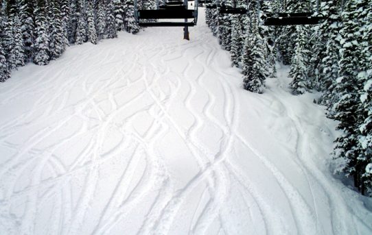 42 cm pow over night!