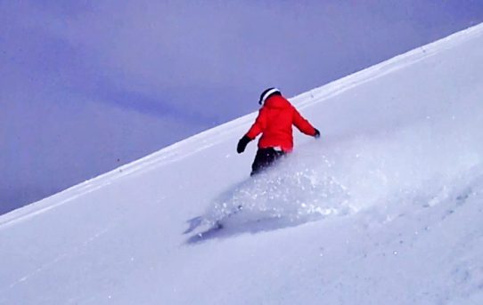 Going back to Norway this summer Going back to Norway this summer