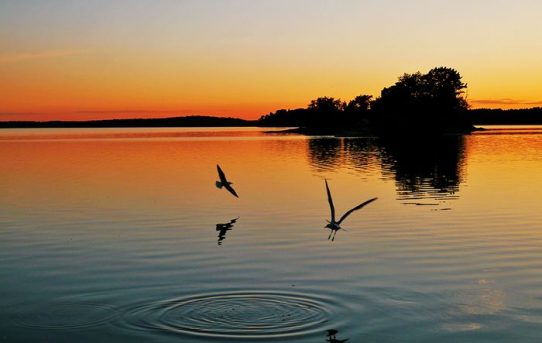 Stockholms skärgård Stockholms skärgård