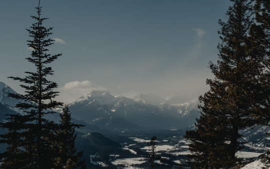 Åker tillbaka till Kanada i tre veckor!