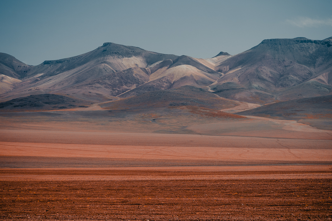 Laguna Colorada - en röd sjö och rosa flamingos bland aktiva vulkaner i saltöknen