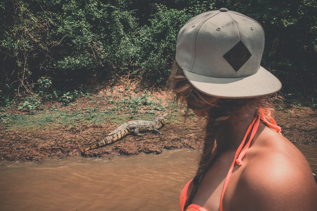 Djungelsafari i Amazonas - simma med kajmaner och rosa delfiner i regnskogen