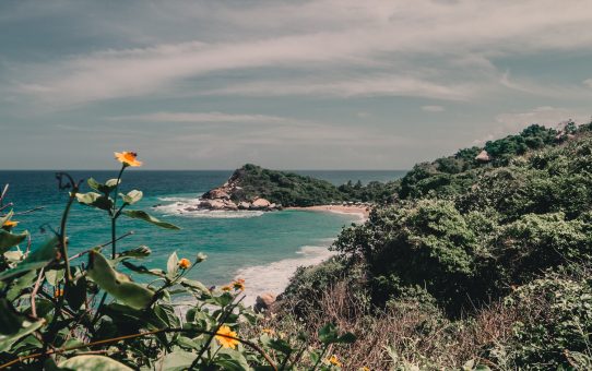 Sov i hängmatta under palmerna i Tayrona National Park