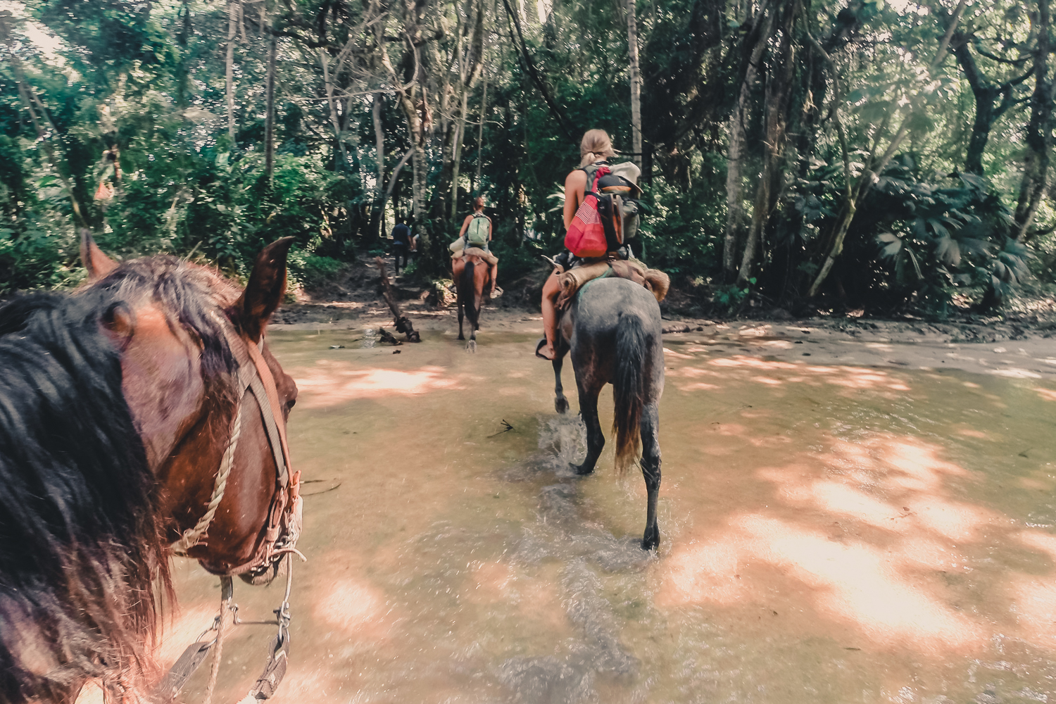 Karibisk hästridning i Tayrona National Parks djungel