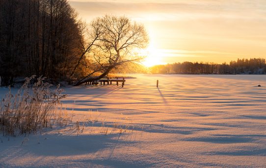 Segla till Antarktis med Milo Dahlmann