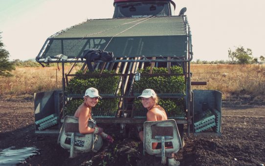 Work & holiday i Australien: så här gör du för att få jobb på farm