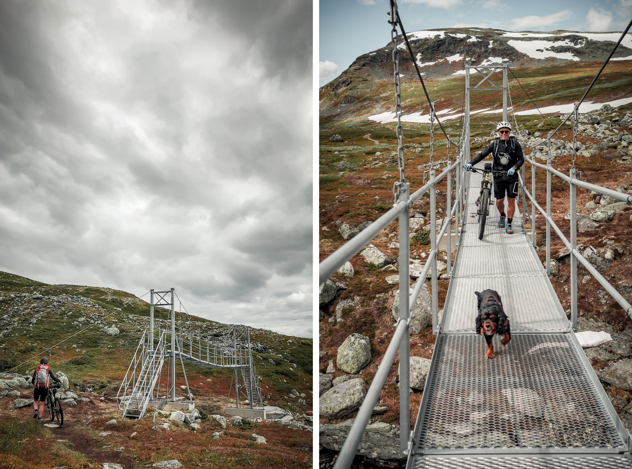 Kungsleden på Mountainbike