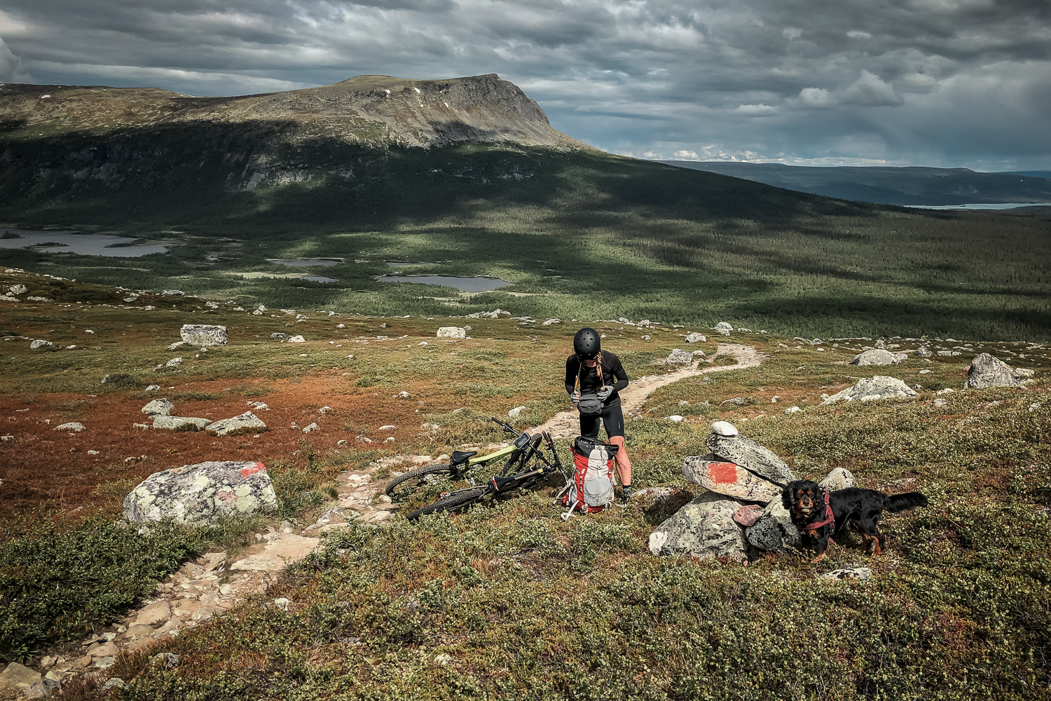 Kungsleden på Mountainbike