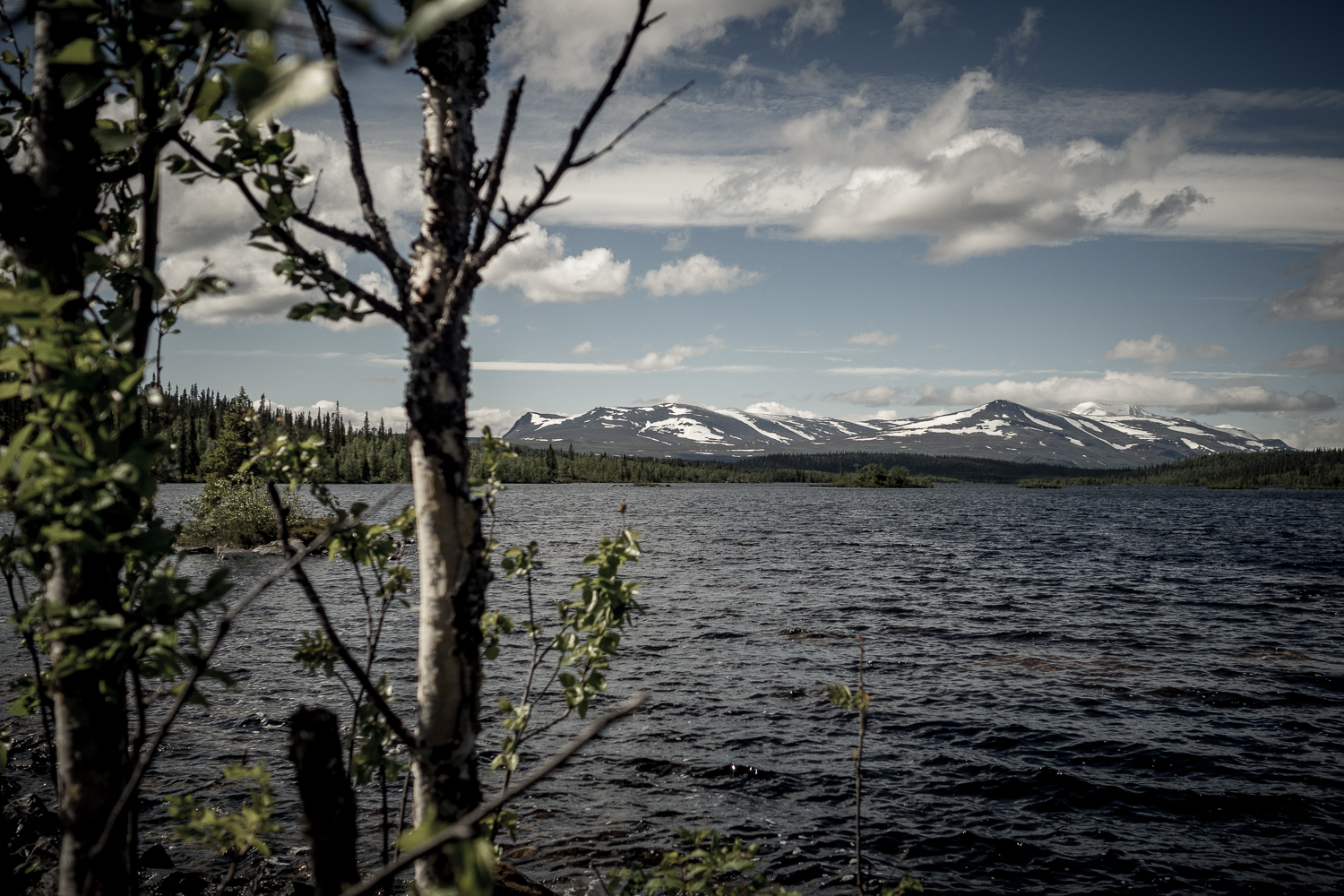 Kungsleden på Mountainbike